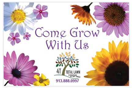 Come Grow With Us Seed Postcard