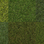 Healthy tall fescue lawn in Johnson County kept green with a seasonal fertilizer schedule