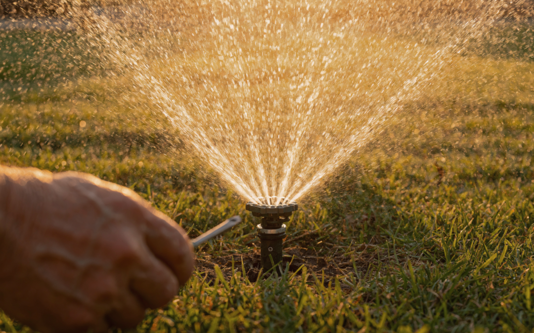 Sprinkler Repair: When to DIY and When to Call an Irrigation Tech